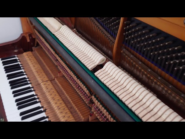 Felt hammers and strings inside a piano